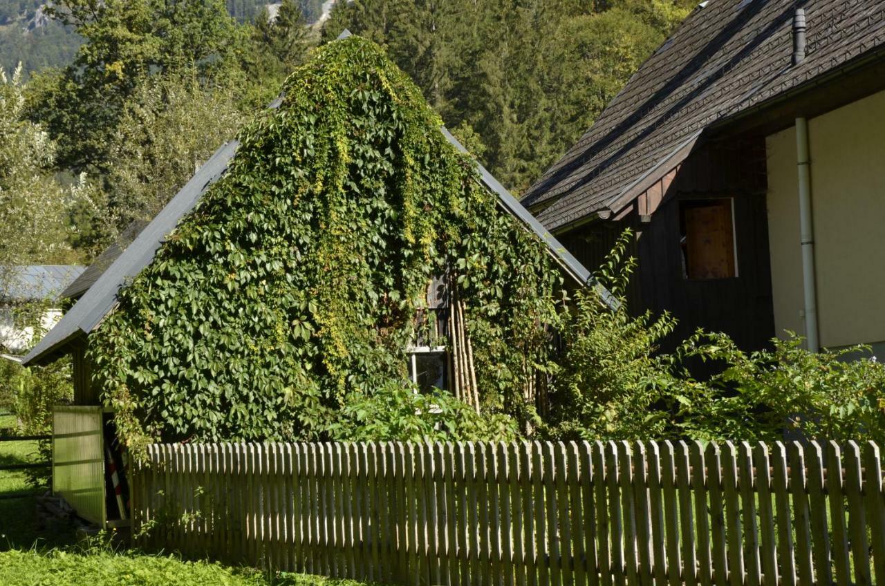 Villa Haus Rosina à Admont Extérieur photo
