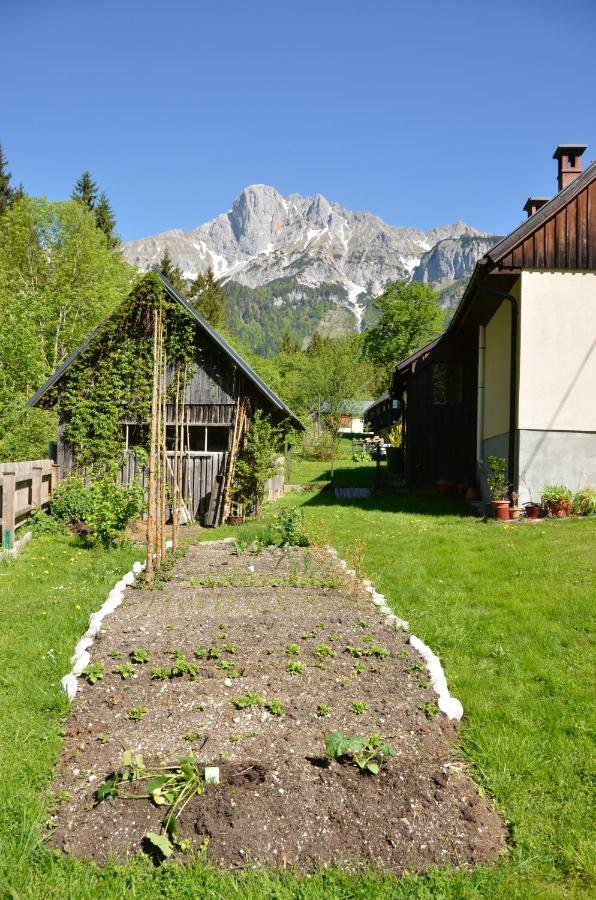 Villa Haus Rosina à Admont Extérieur photo