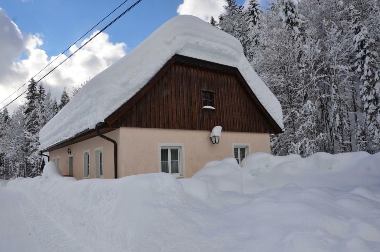 Villa Haus Rosina à Admont Extérieur photo